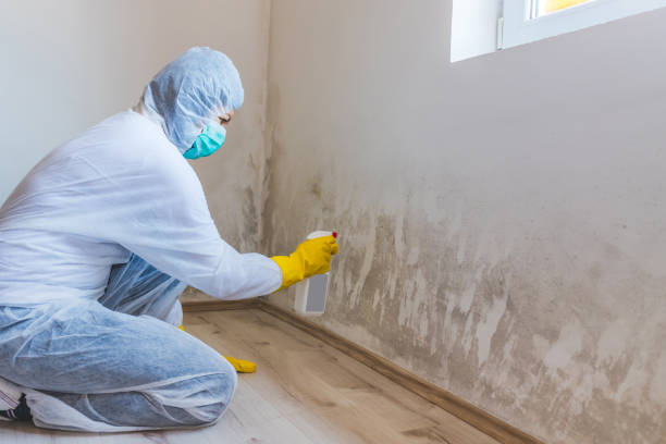 Licensed Mold Testing service in Spencerville, MD - WQB Mold Removal