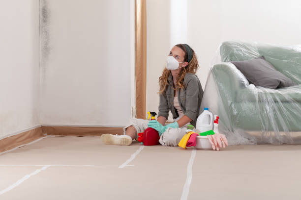 Reliable Mold Testing contractor in Spencerville, MD by WQB Mold Removal